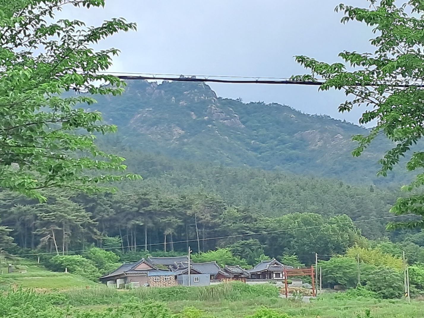 교동1리