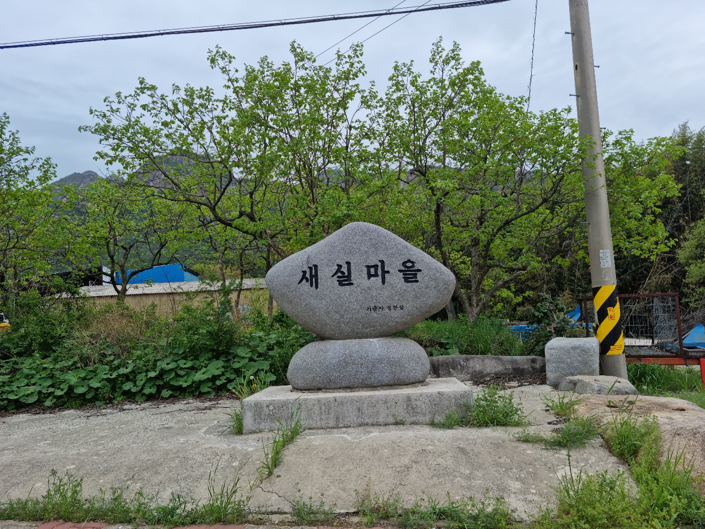 용흥1리