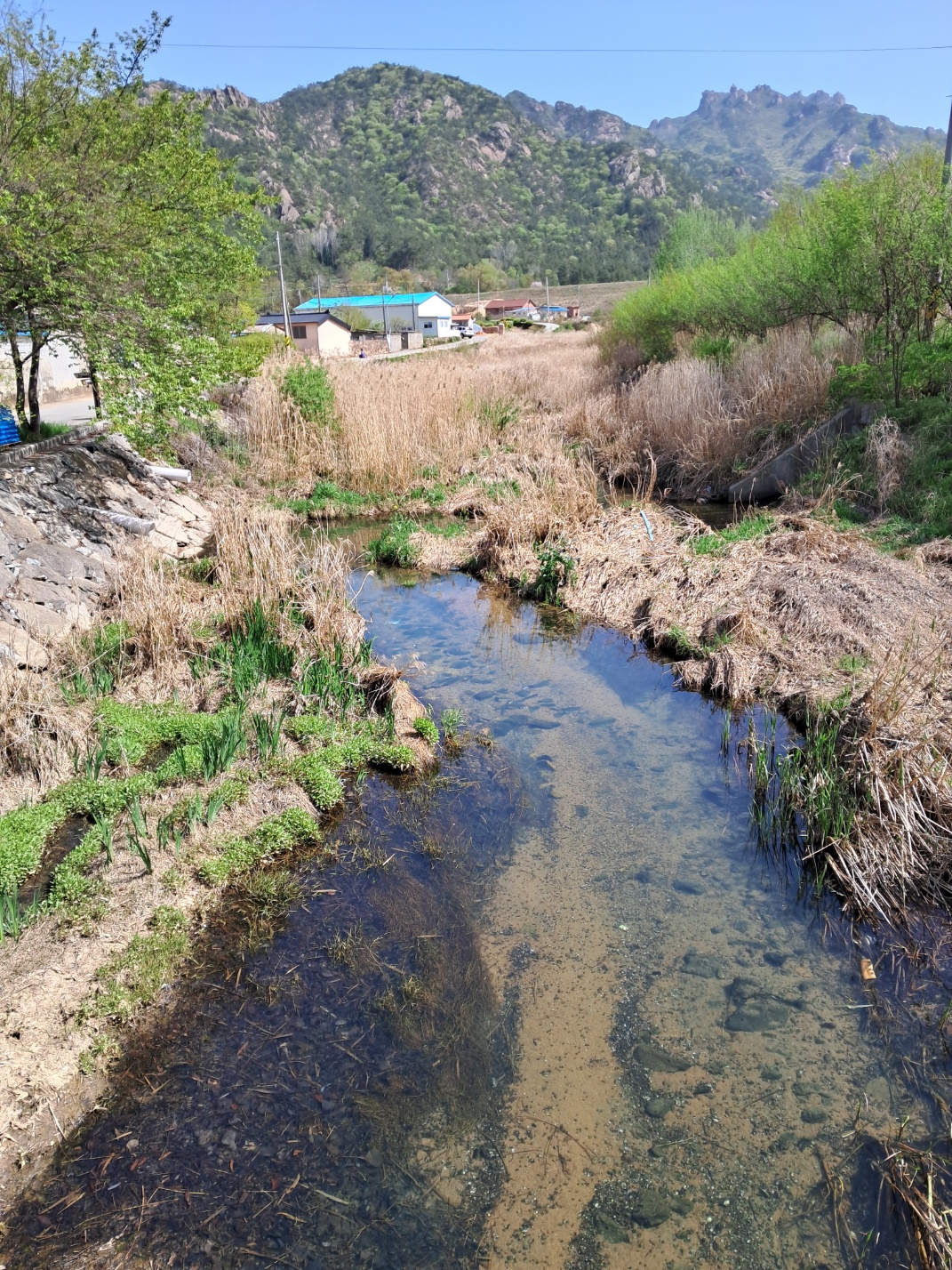 회문1리