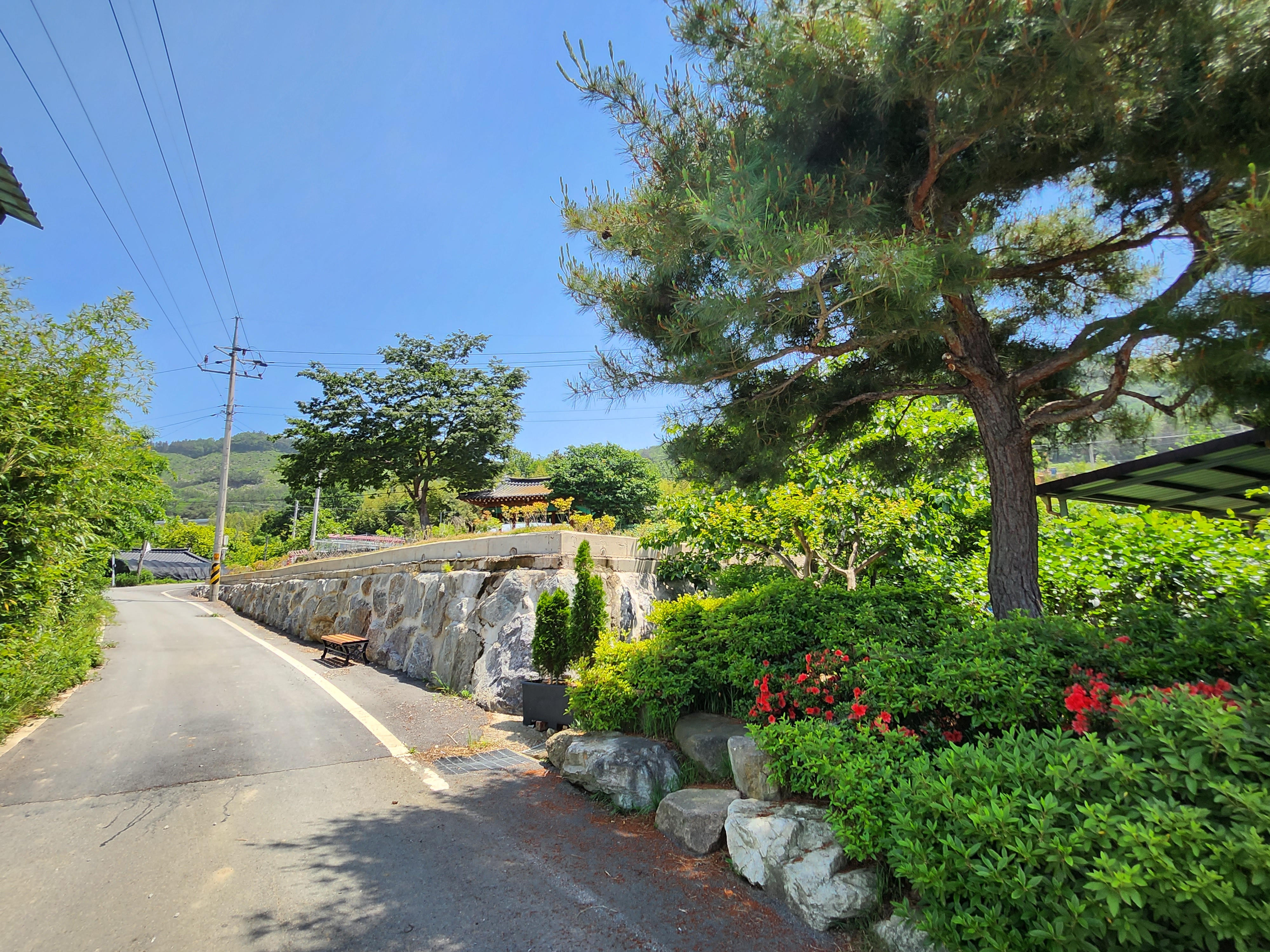 노송1리