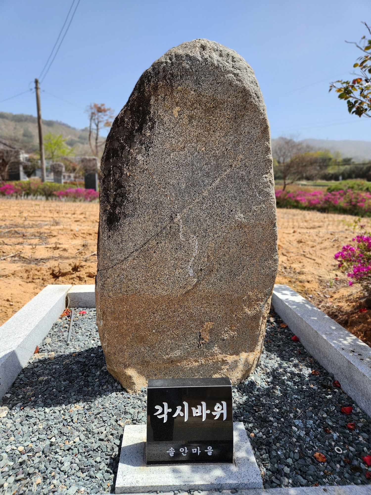 노송2리