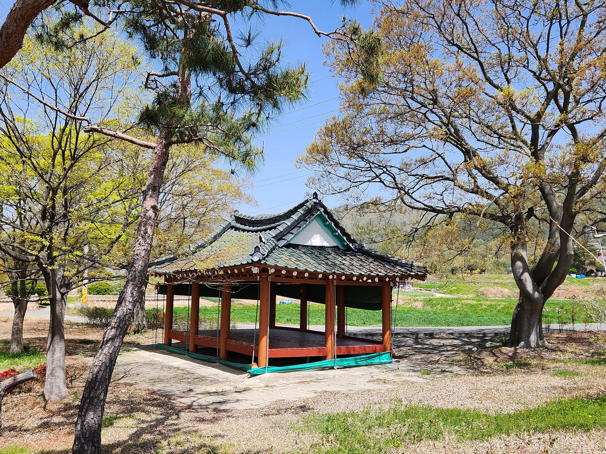 노송2리