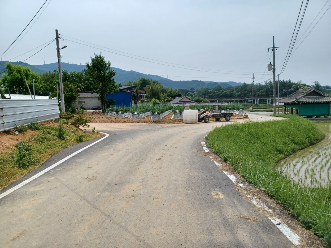 노송3리