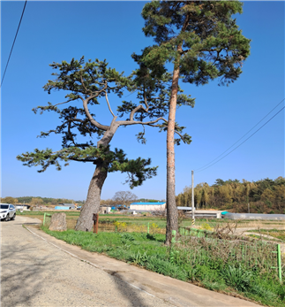 용산1리