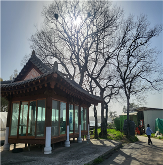 용산1리