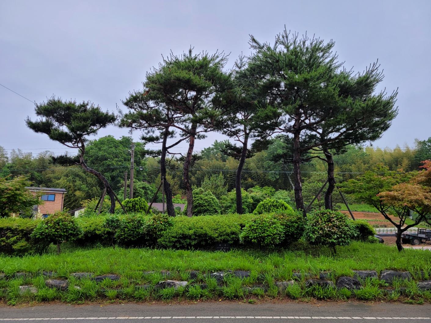 모산2리