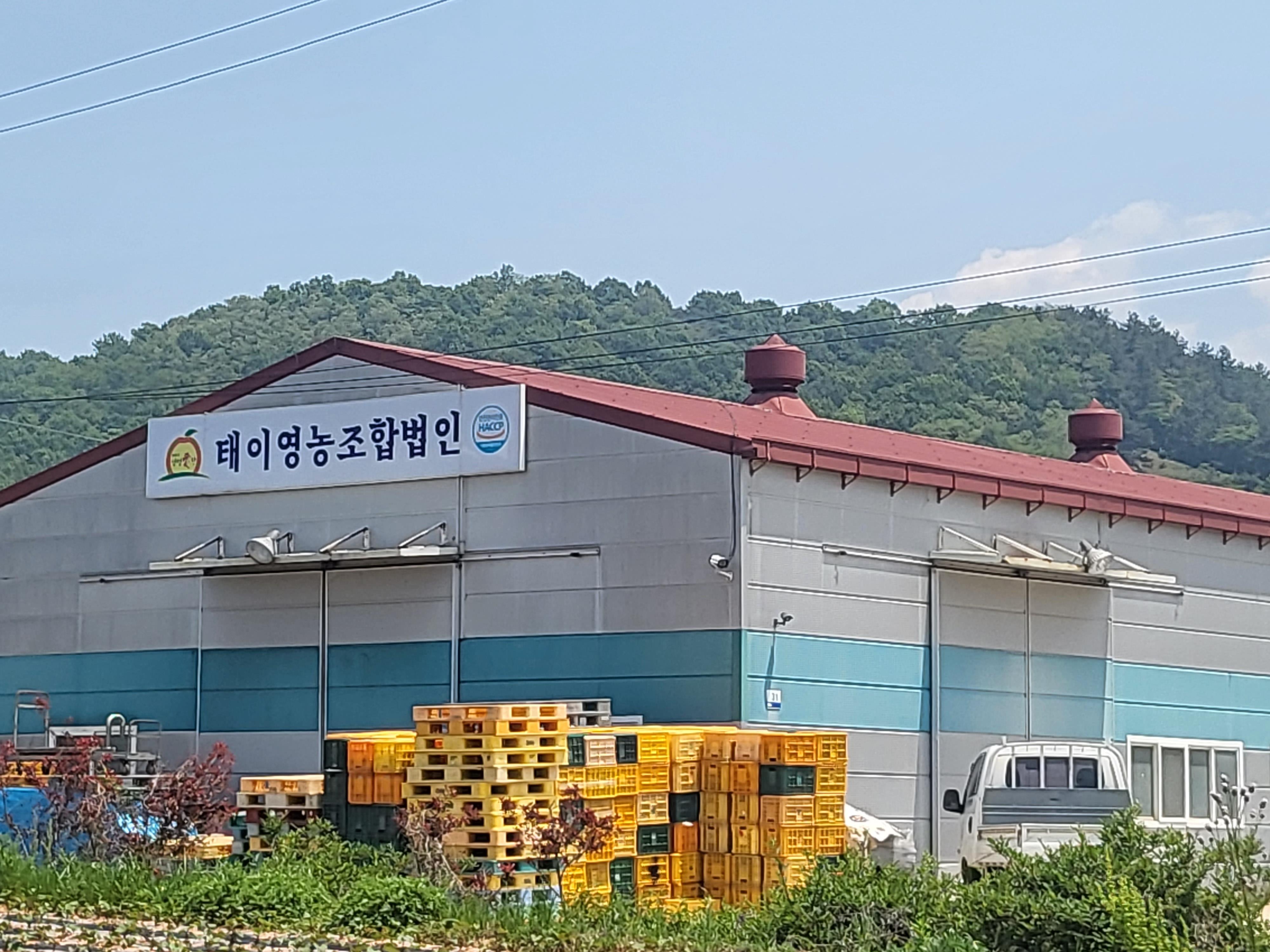 이천5리