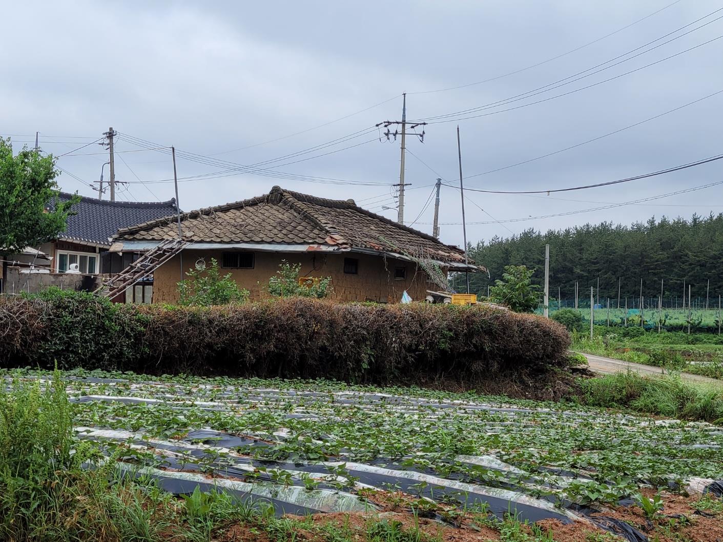 학동3리